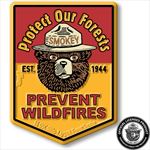 SMKY104 Smokey Bear Protect Our Forests Magnet